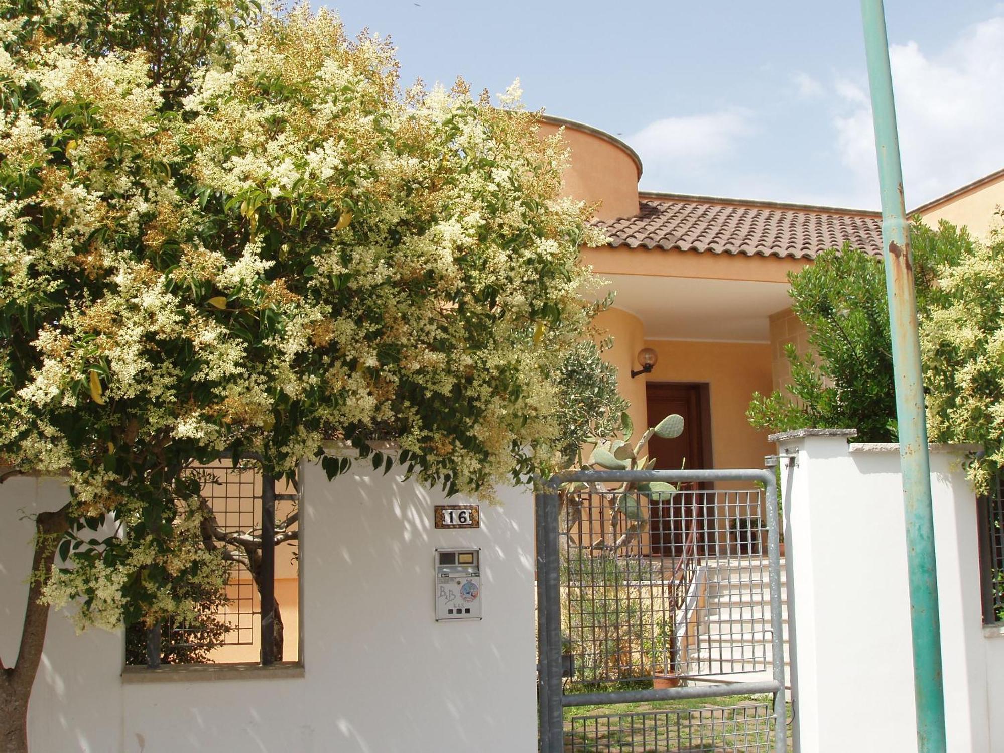 Bed and Breakfast Residenza Del Sole Surbo Exterior foto